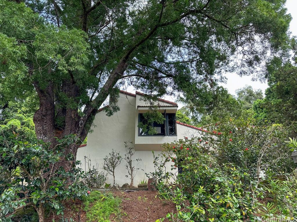 Photo 9 of 24