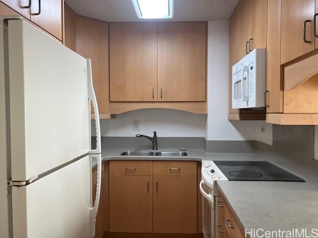 Photo 5 of 25