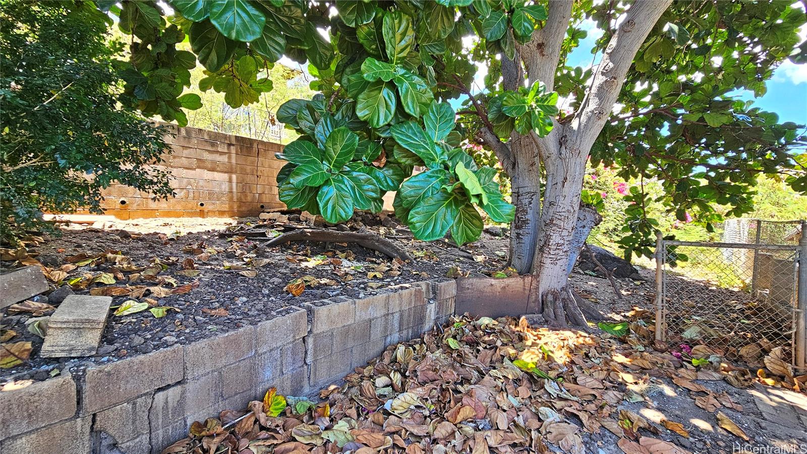Photo 20 of 25