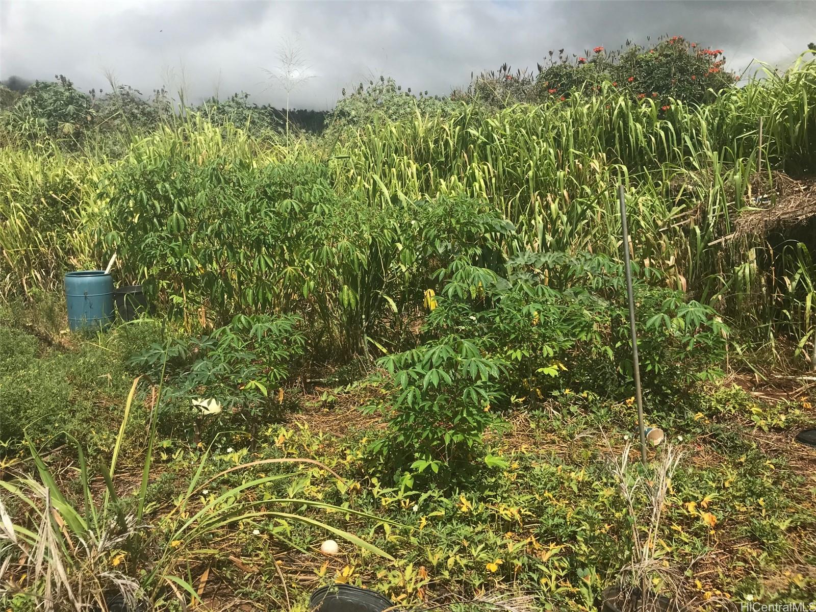 Photo 22 of 22
