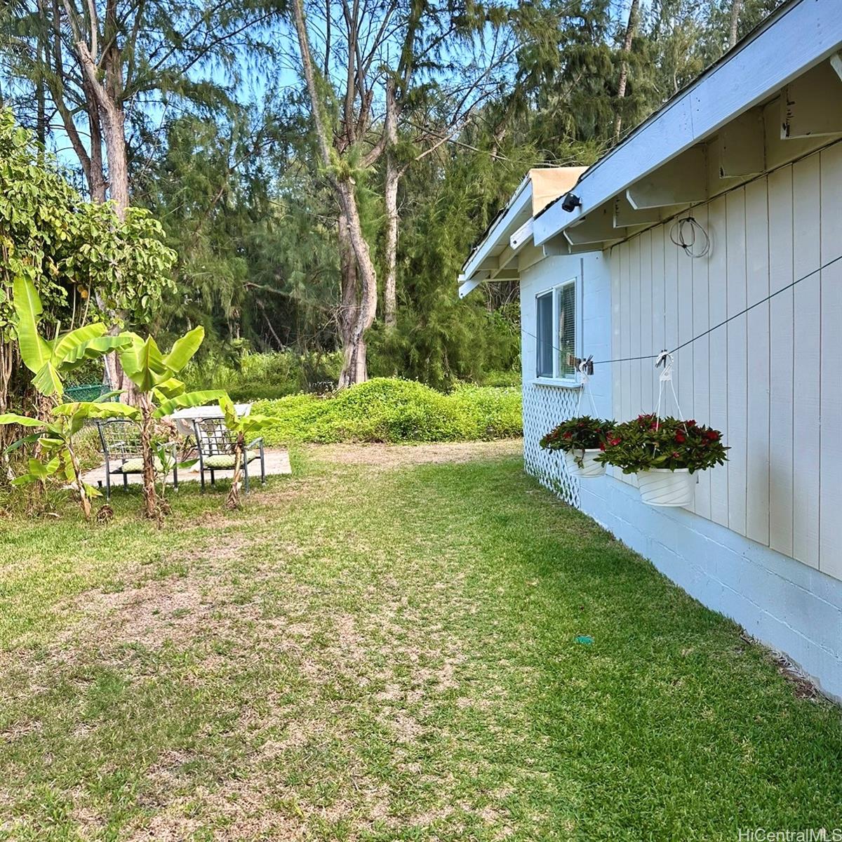 Photo 8 of 24