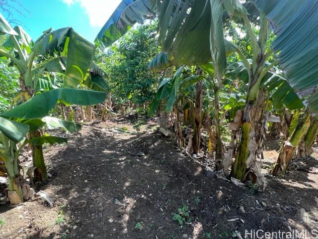 Photo 13 of 16
