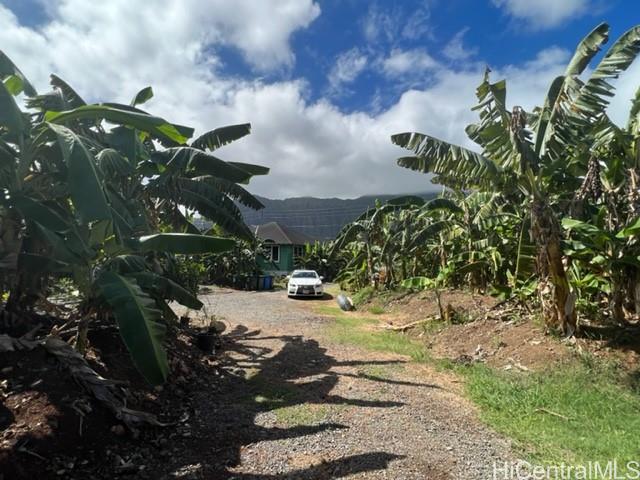 Photo 15 of 16