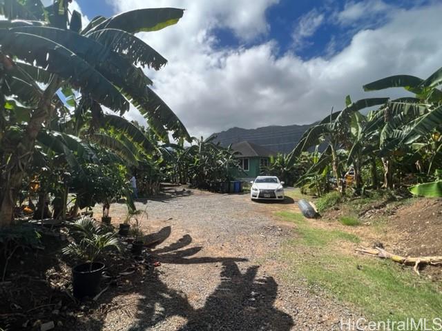Photo 16 of 16