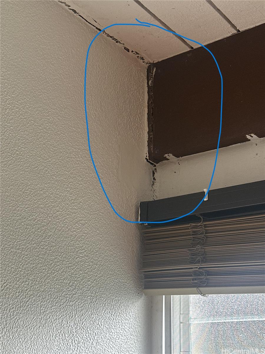Photo 18 of 21