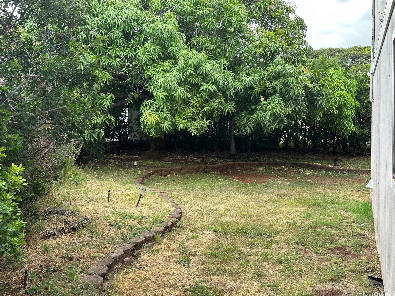 Photo 12 of 14