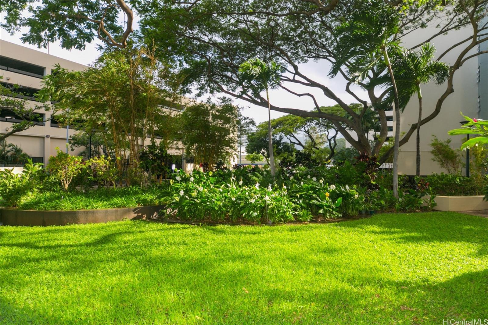 60 N Beretania Street  Unit 506