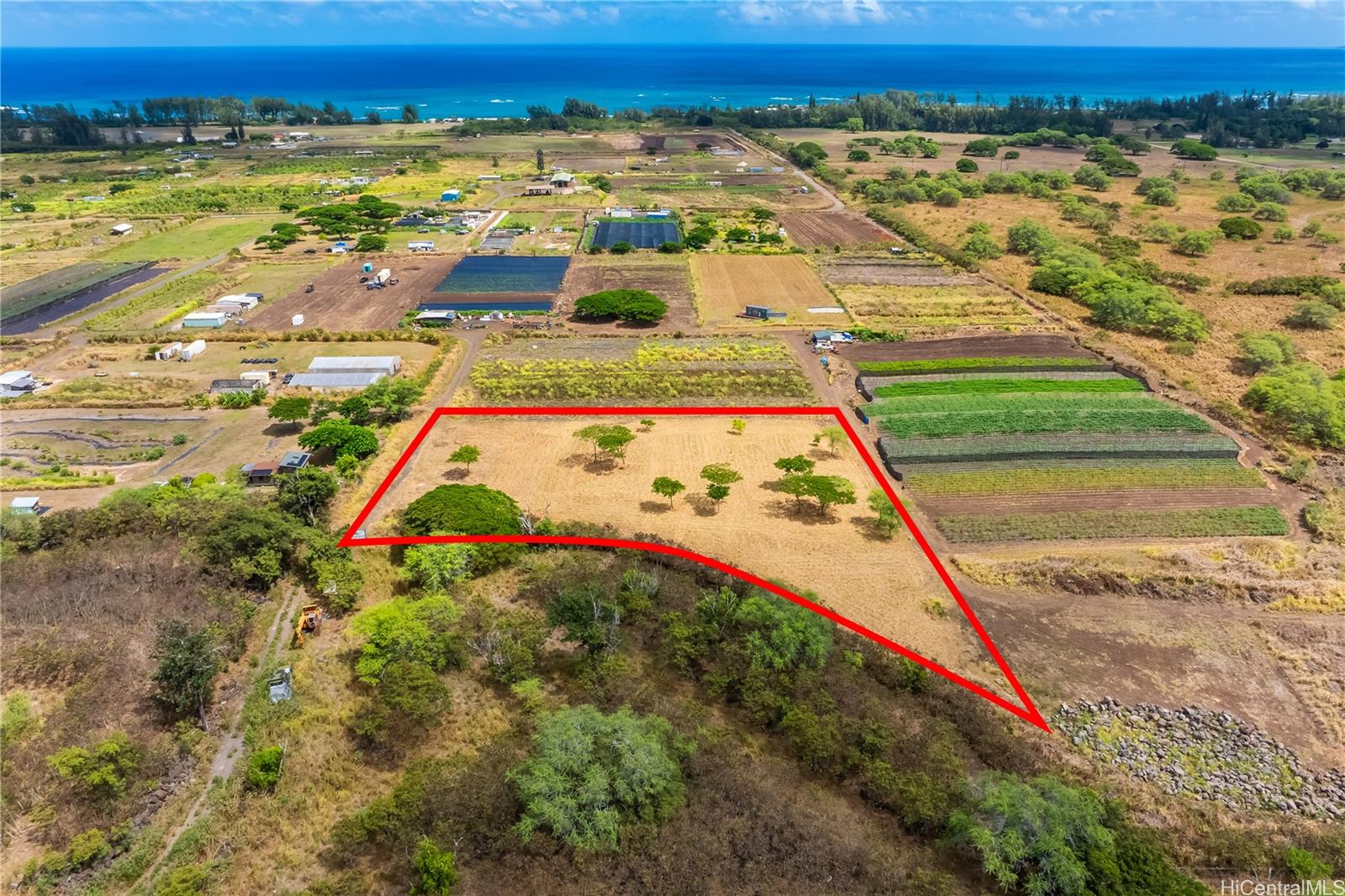68-670 Farrington Highway