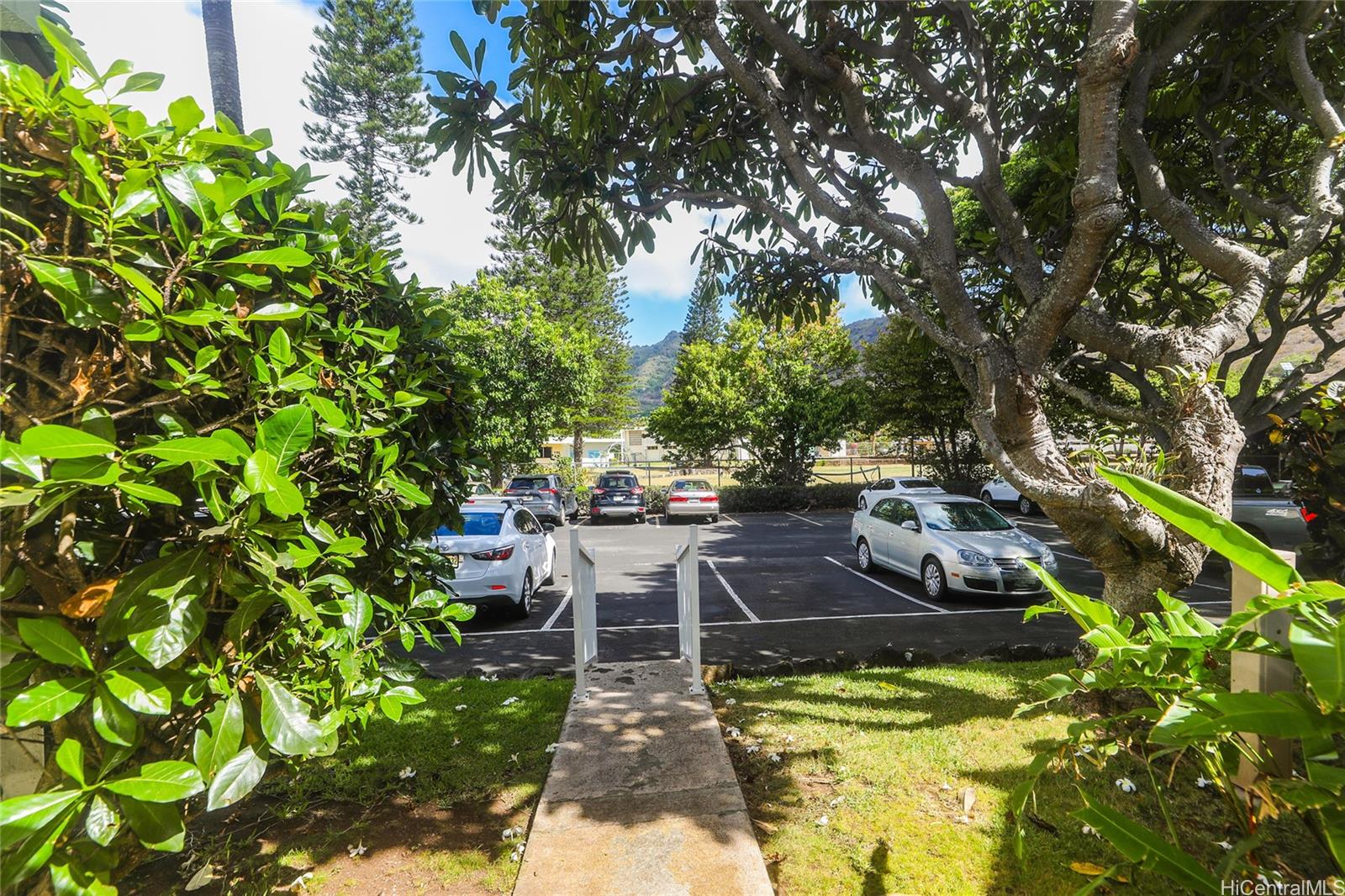 Photo 21 of 25