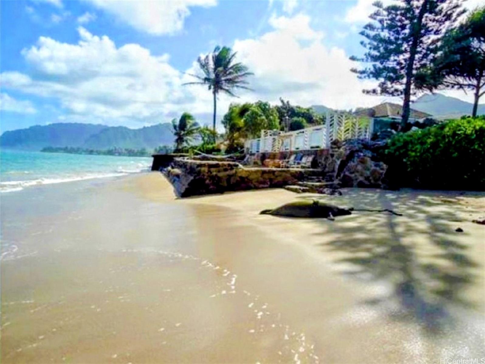 53-841 Kamehameha Highway