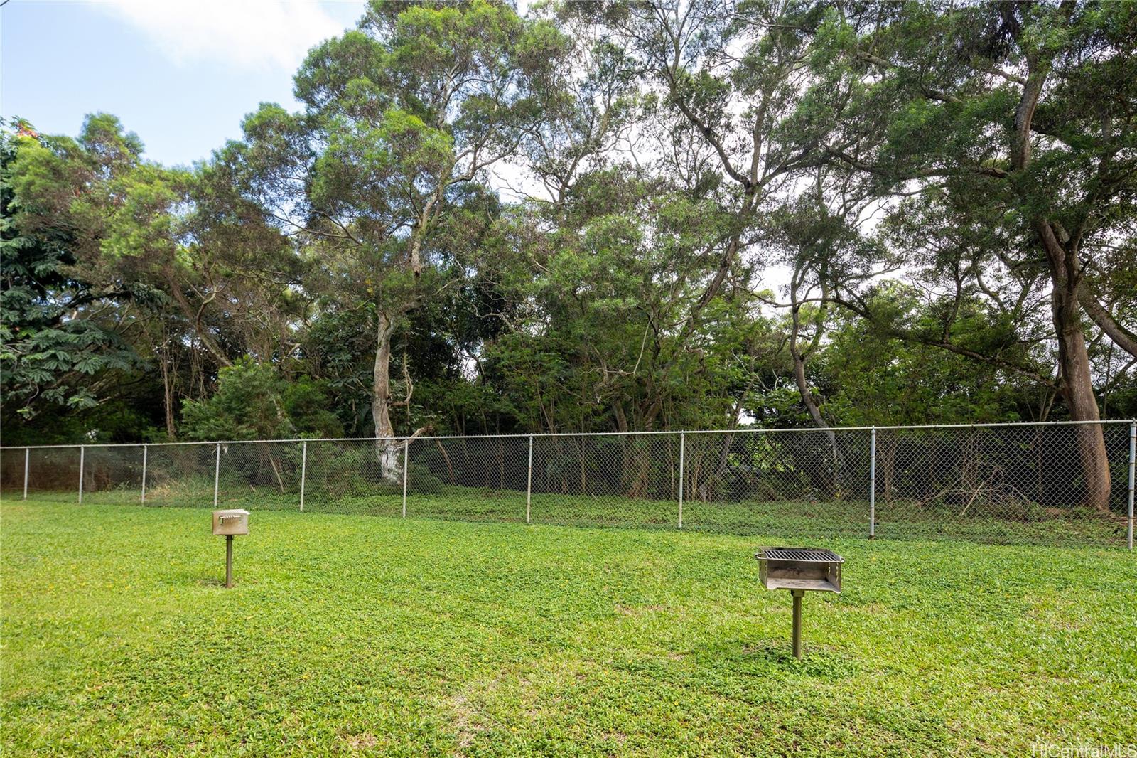Photo 20 of 25
