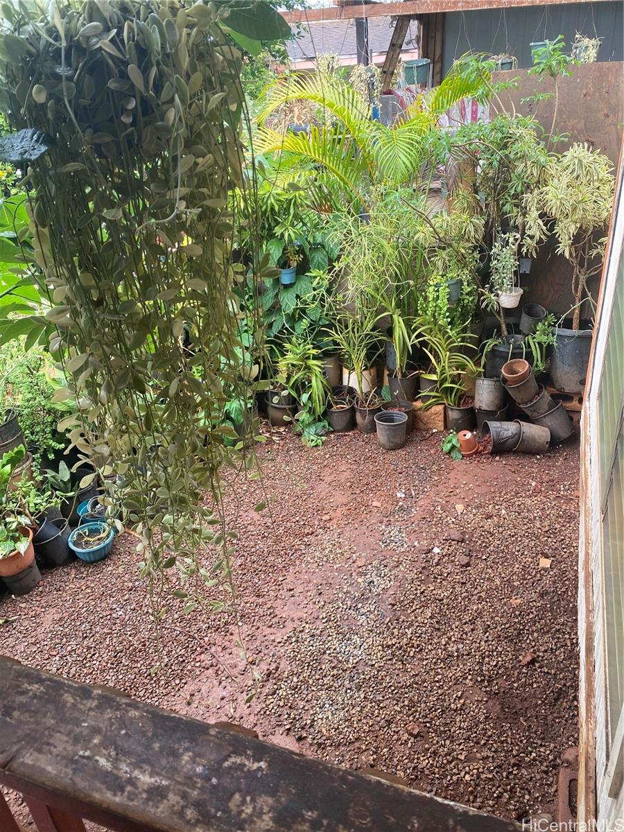 Photo 9 of 9
