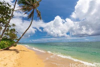 53-549 Kamehameha Highway  Unit 110
