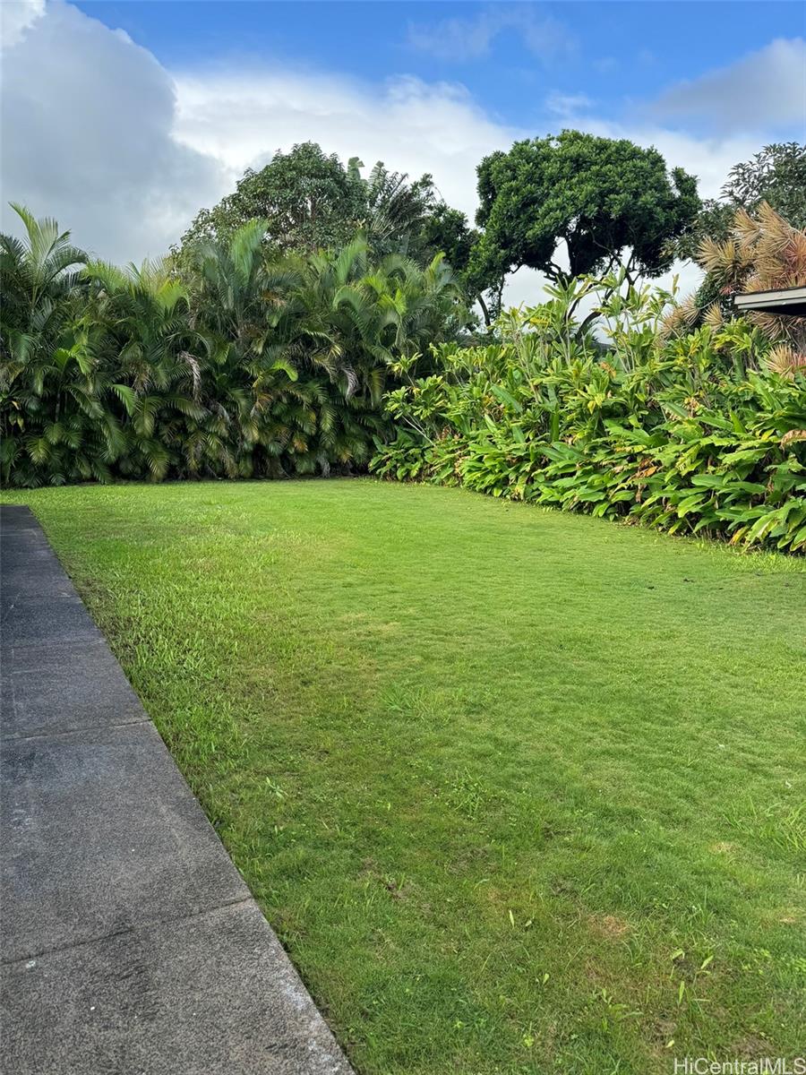 Photo 5 of 17