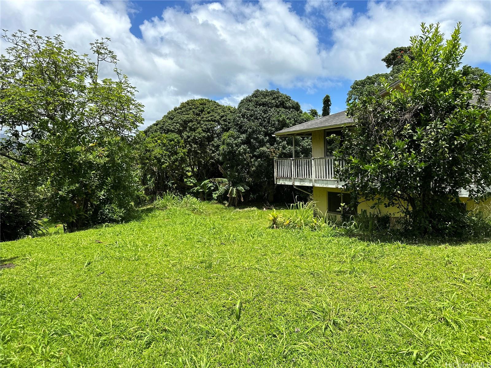 Photo 21 of 25