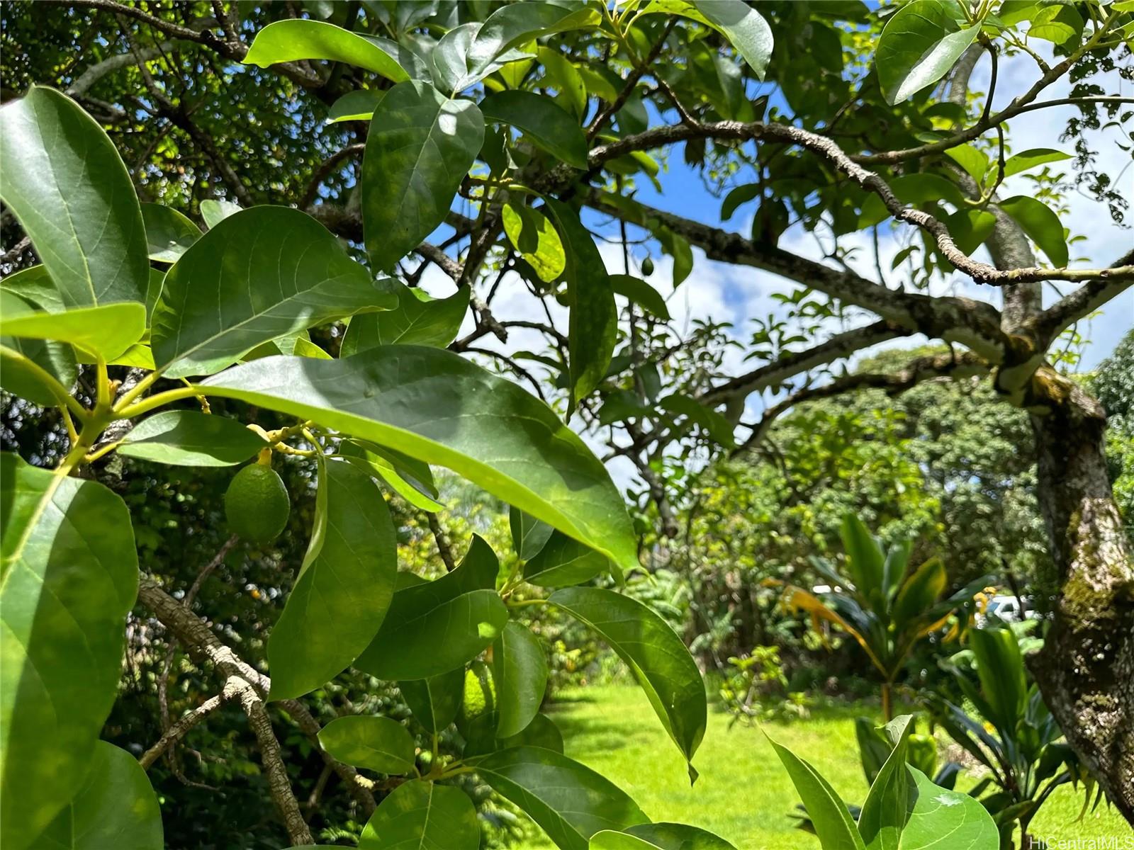 Photo 23 of 25