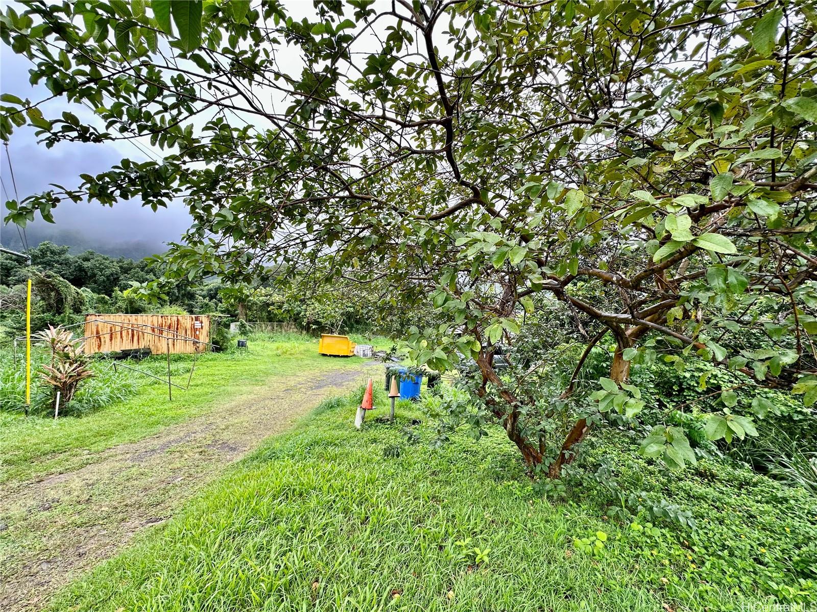 Photo 8 of 25