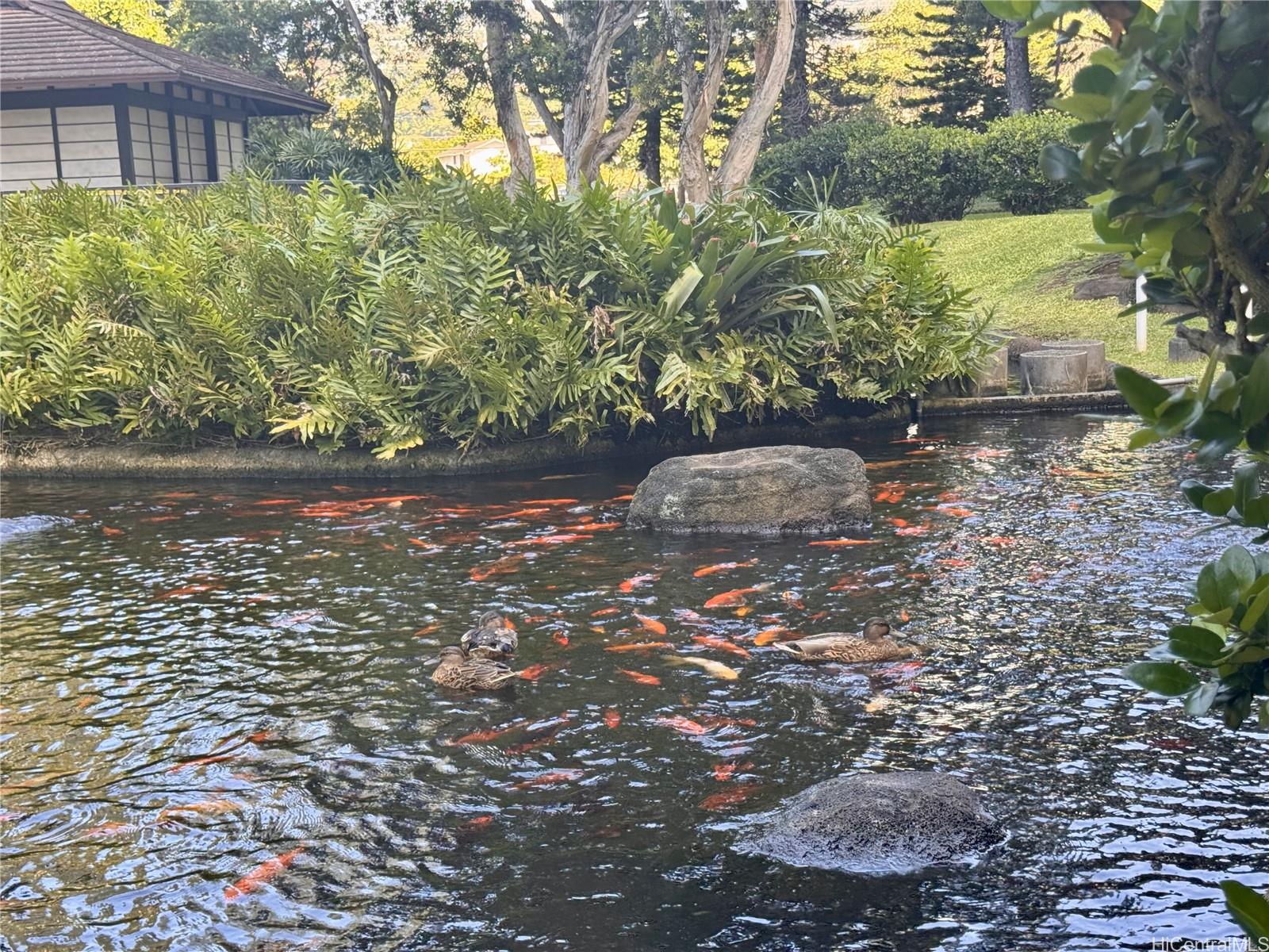 Photo 21 of 21