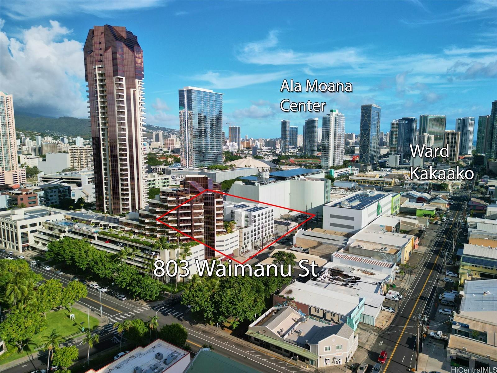 803 Waimanu Street  Unit 407