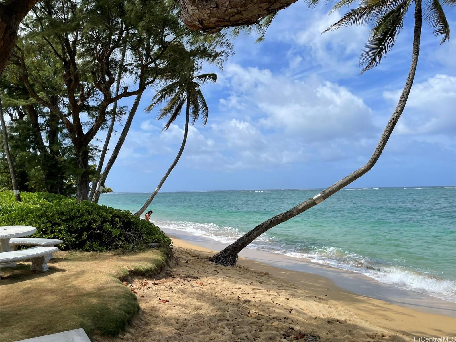 Photo 13 of 17