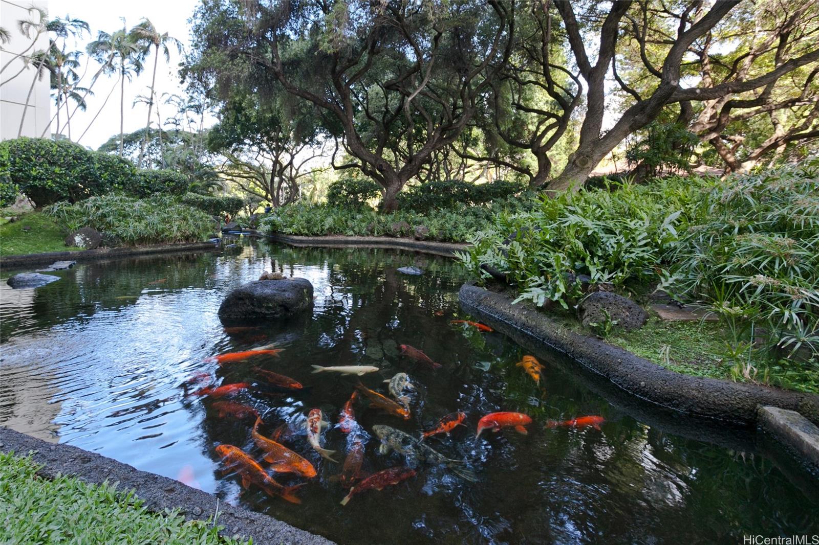 Photo 17 of 20