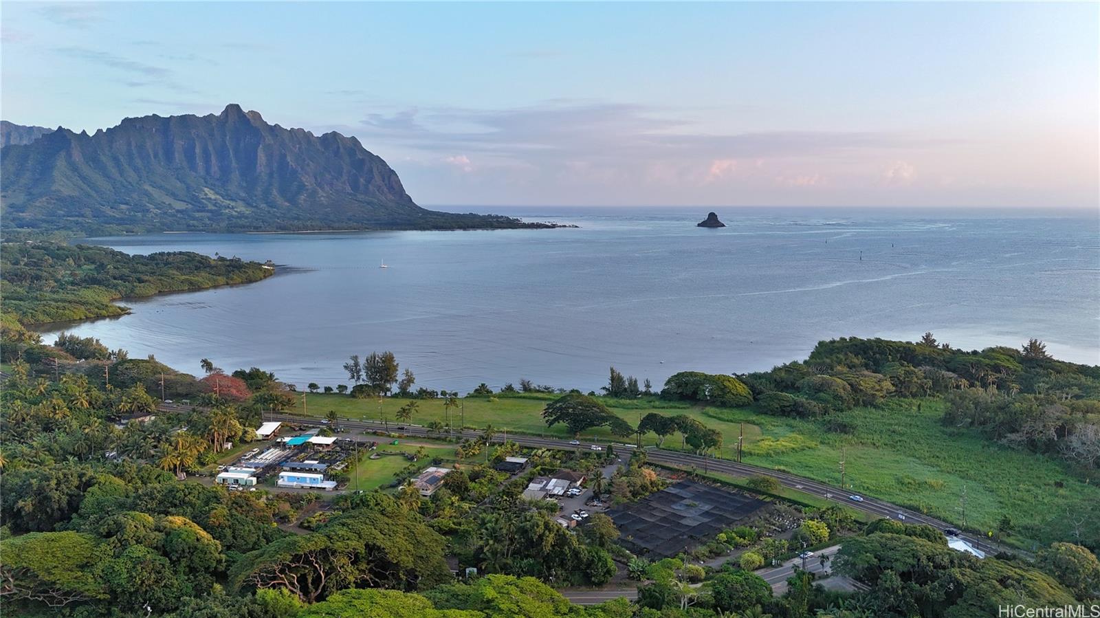 Lot 1 Kamehameha Highway