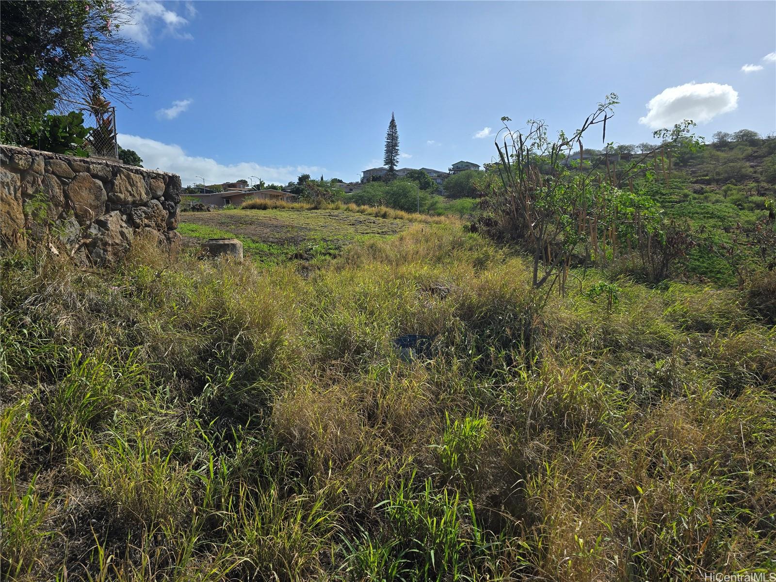 Photo 4 of 22