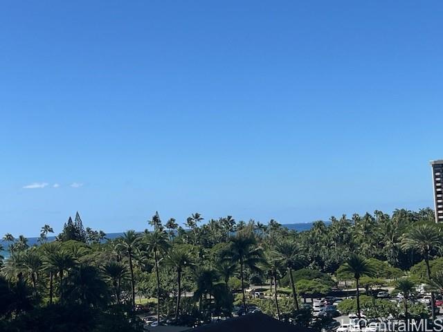 Photo 18 of 19