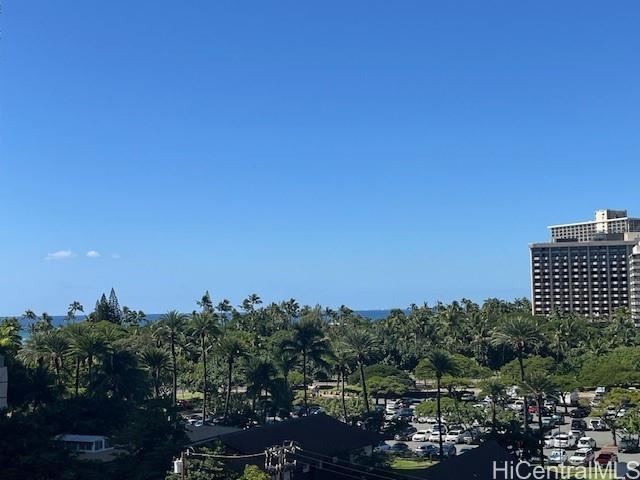 Photo 19 of 19