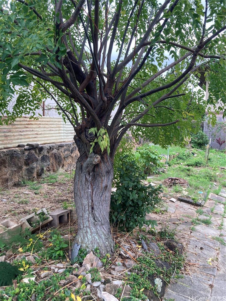 Photo 8 of 12