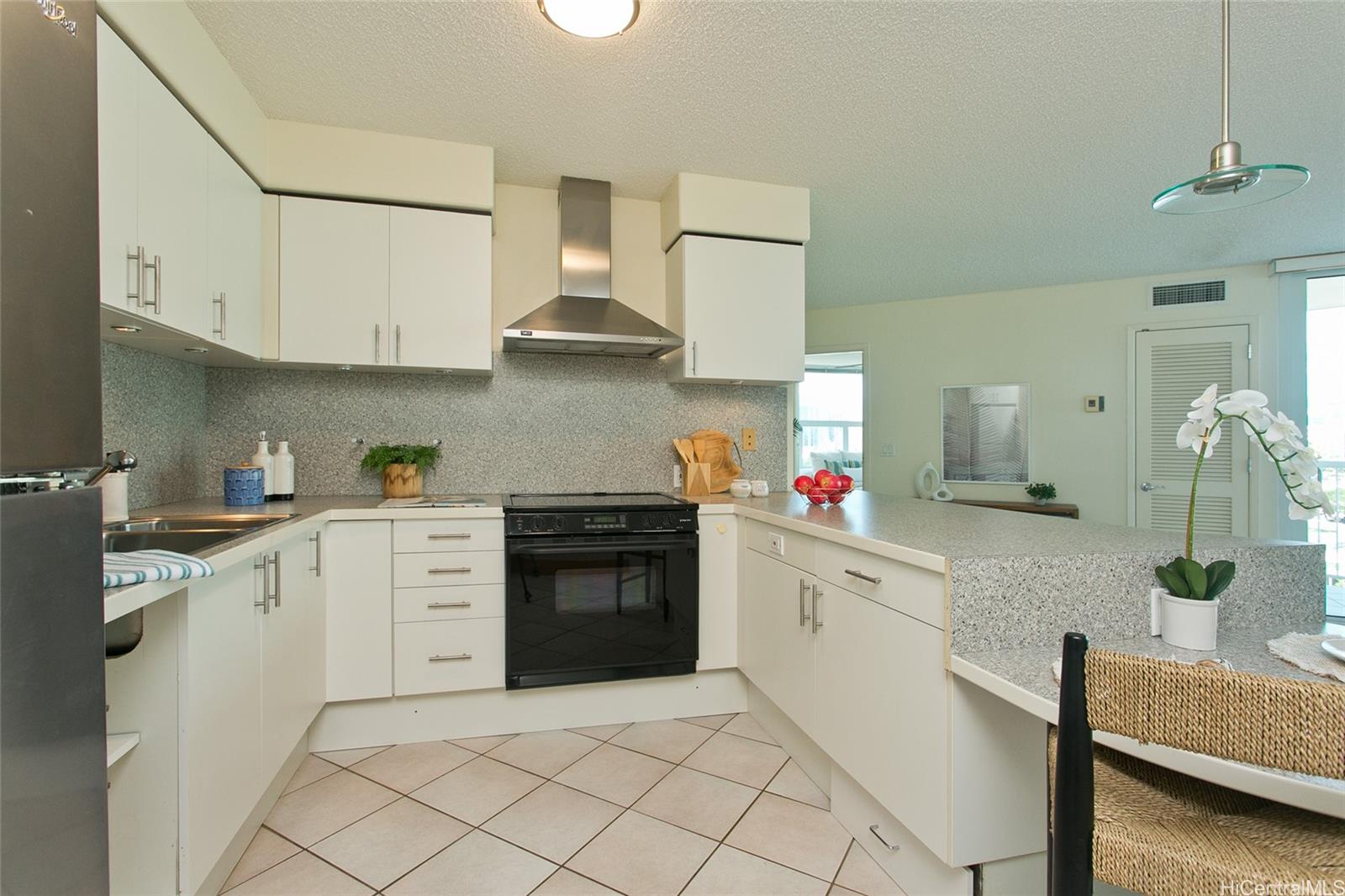 801 S King Street  Unit 1107