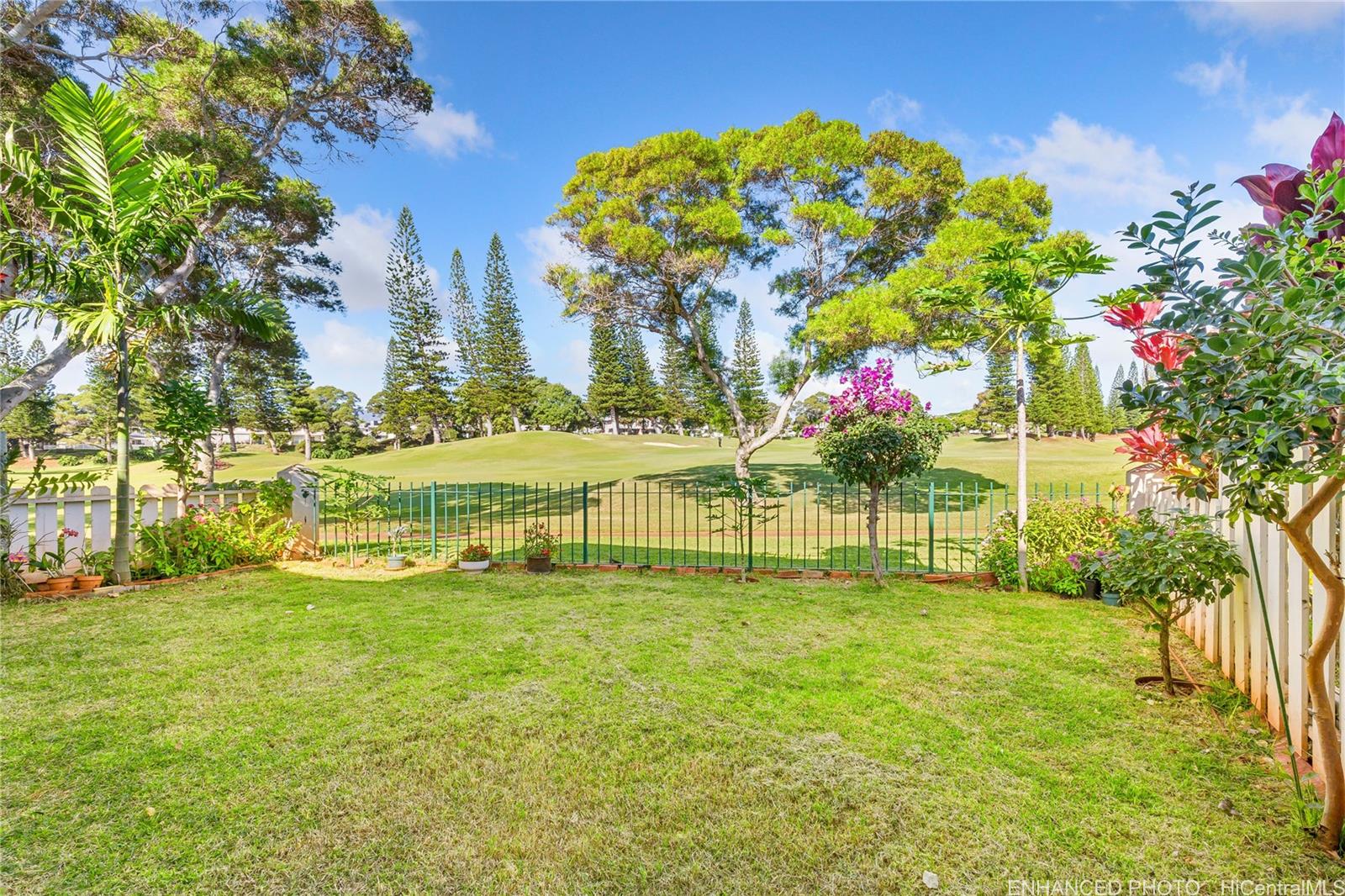 Photo 10 of 25