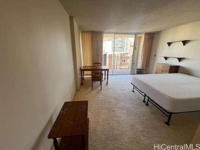 Photo 14 of 25
