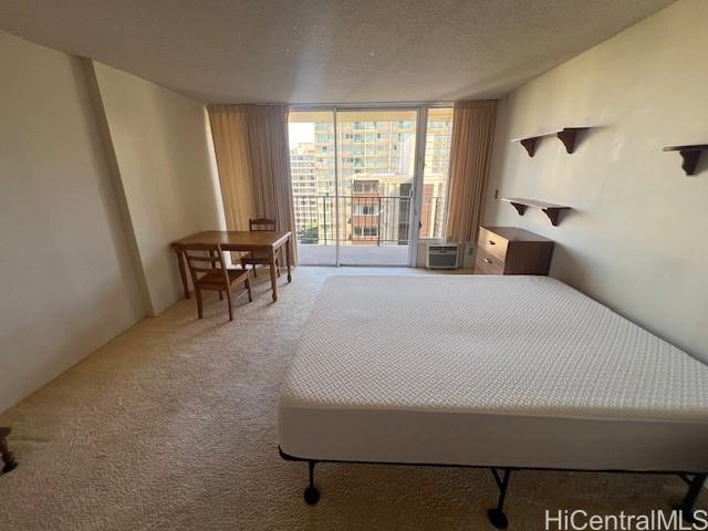 Photo 17 of 25