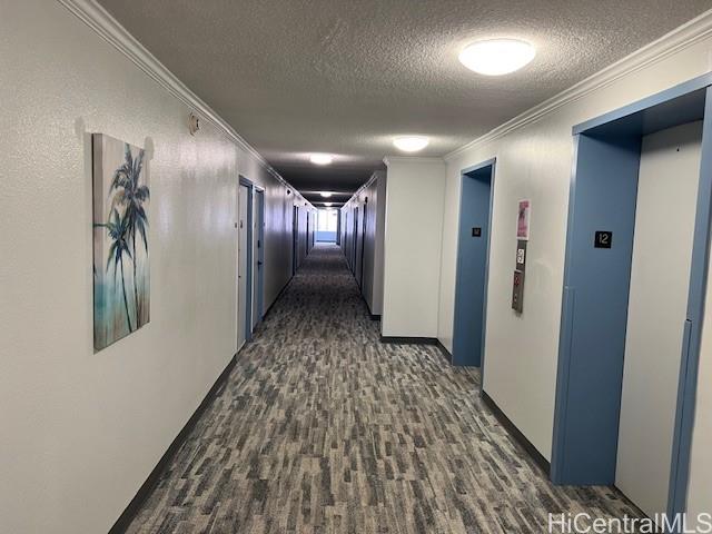 Photo 9 of 25