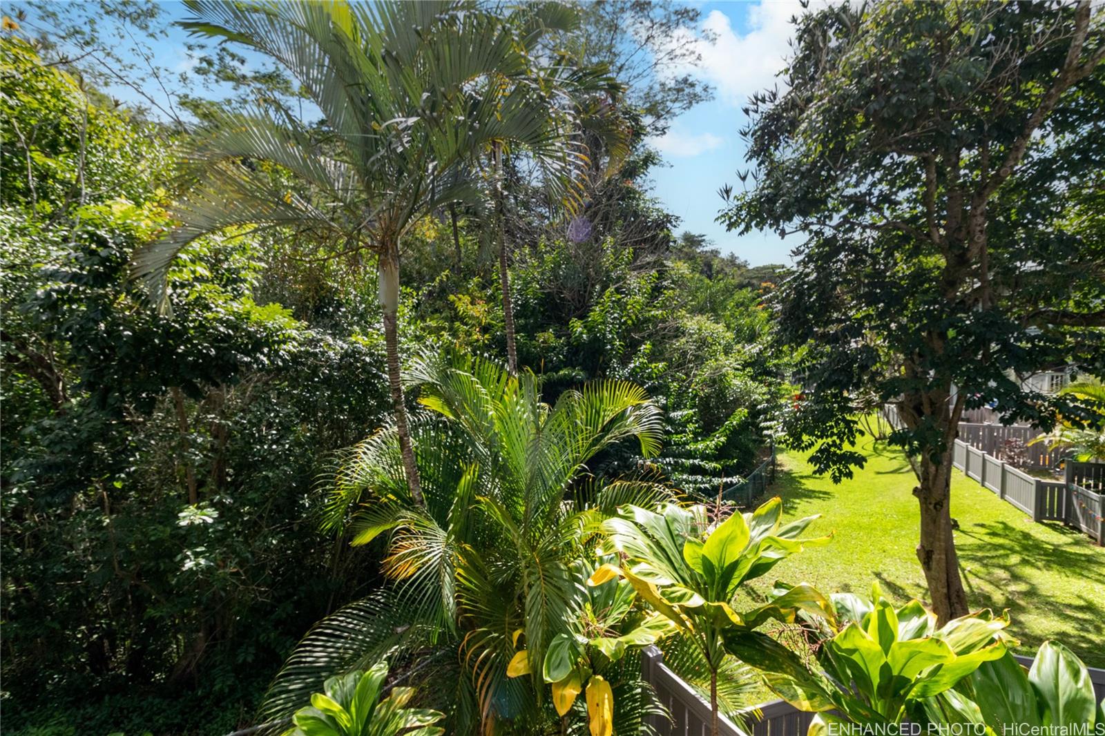 Photo 20 of 25