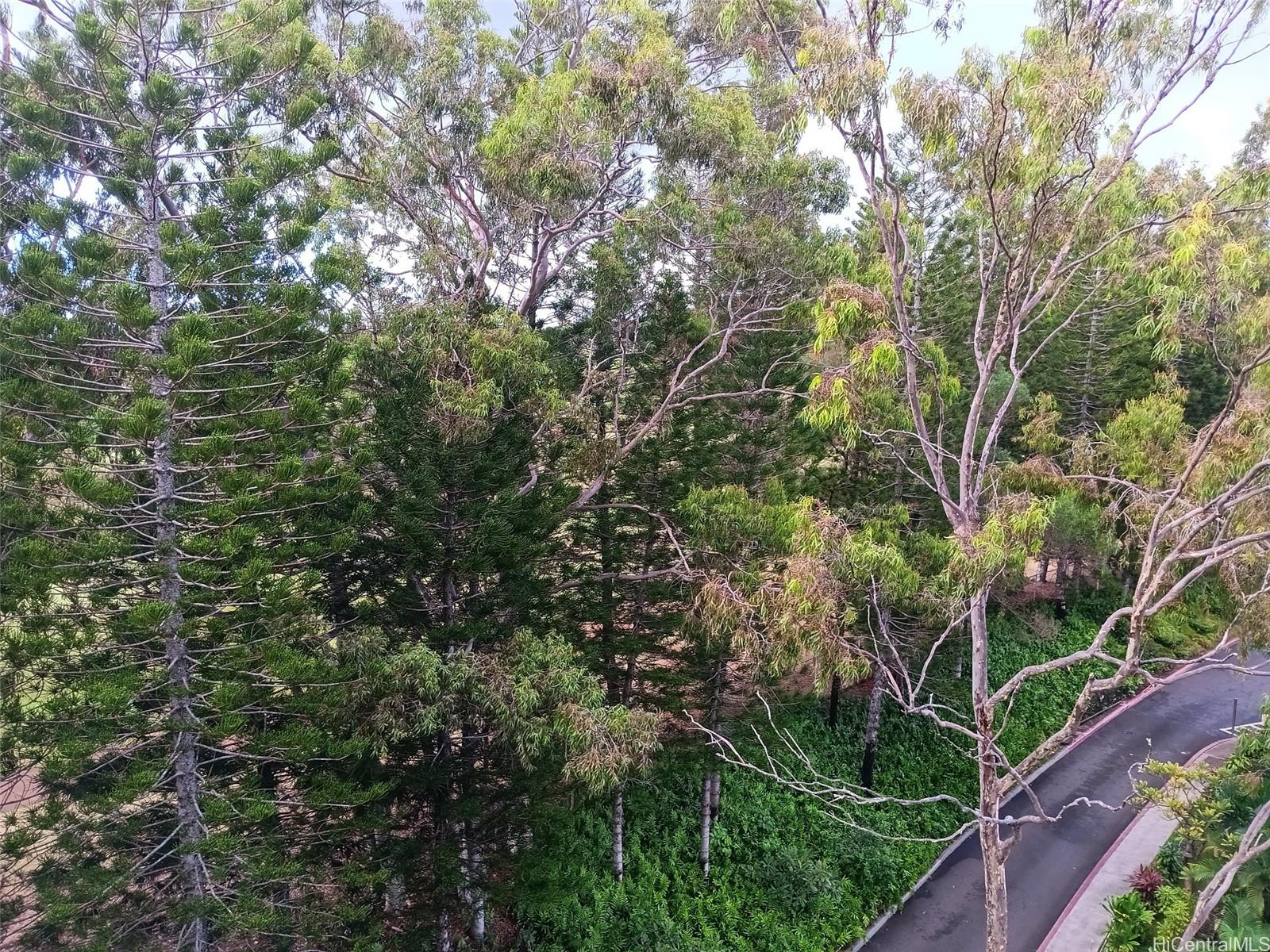 Photo 6 of 8
