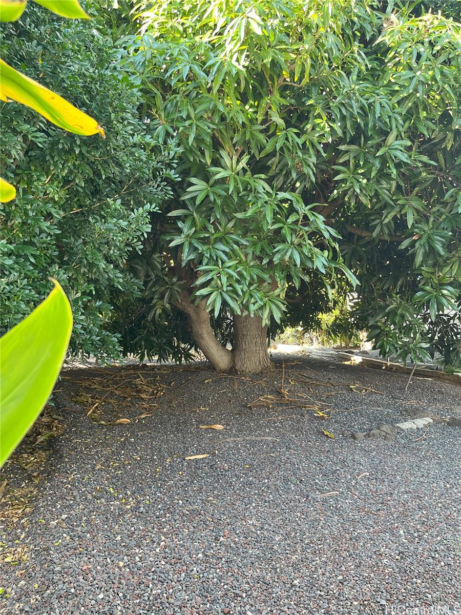 Photo 22 of 23