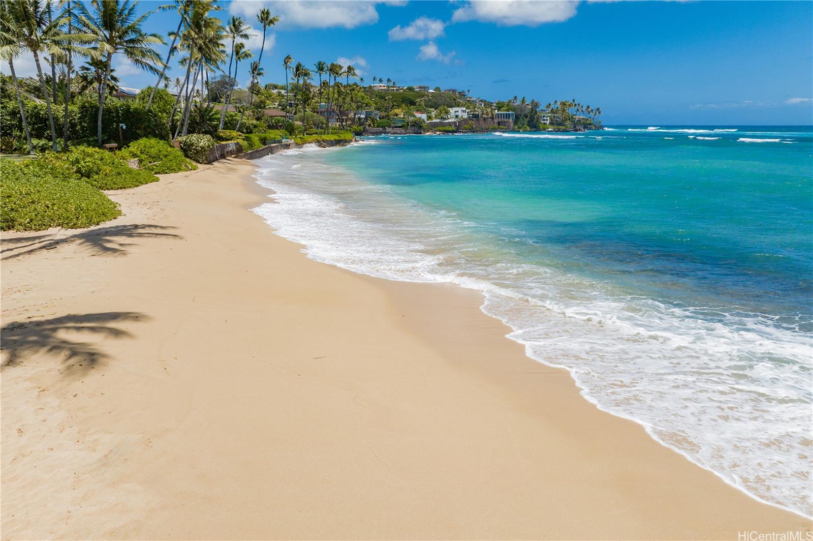 3735 Diamond Head Road  Unit A