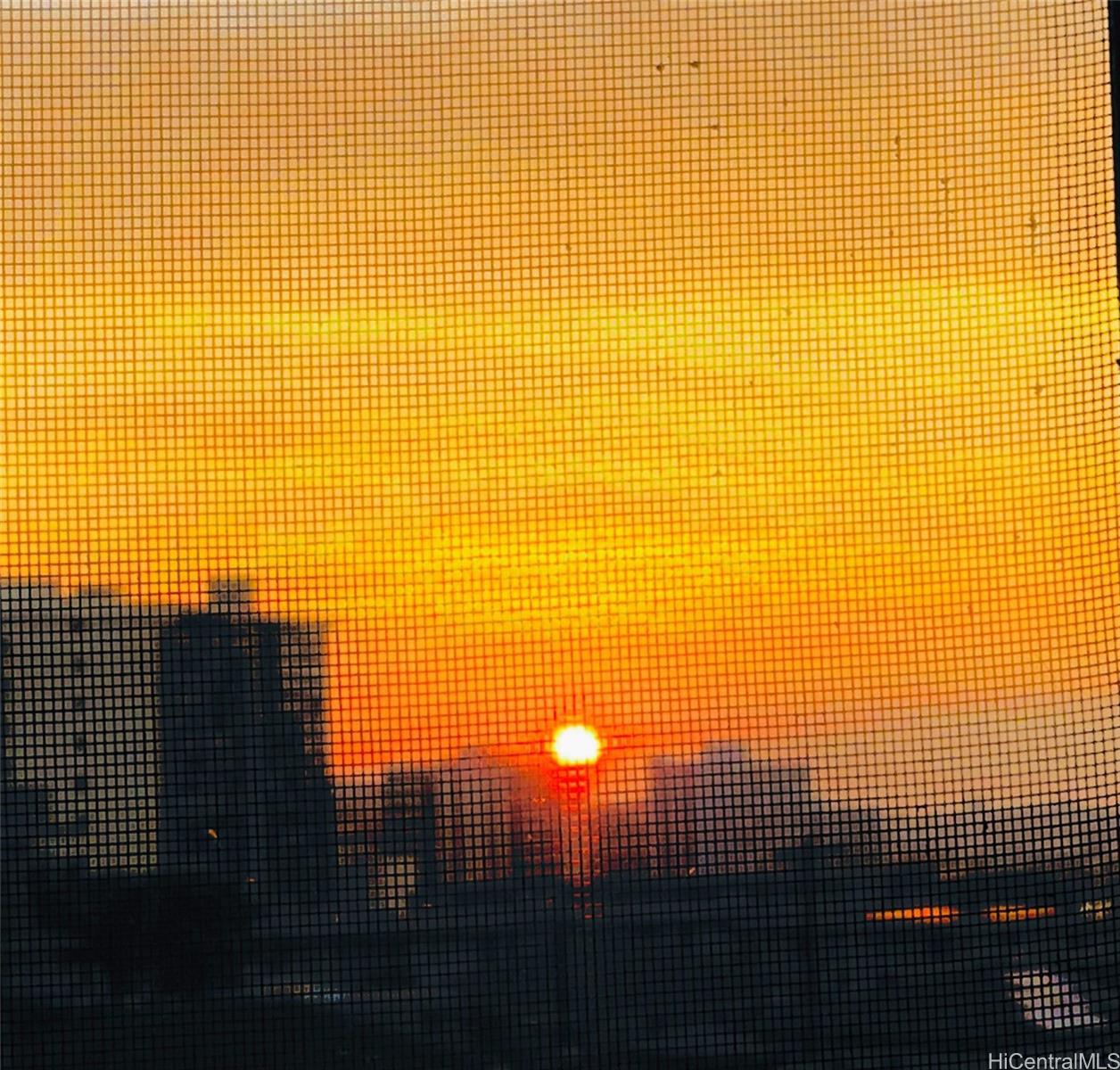 Photo 25 of 25