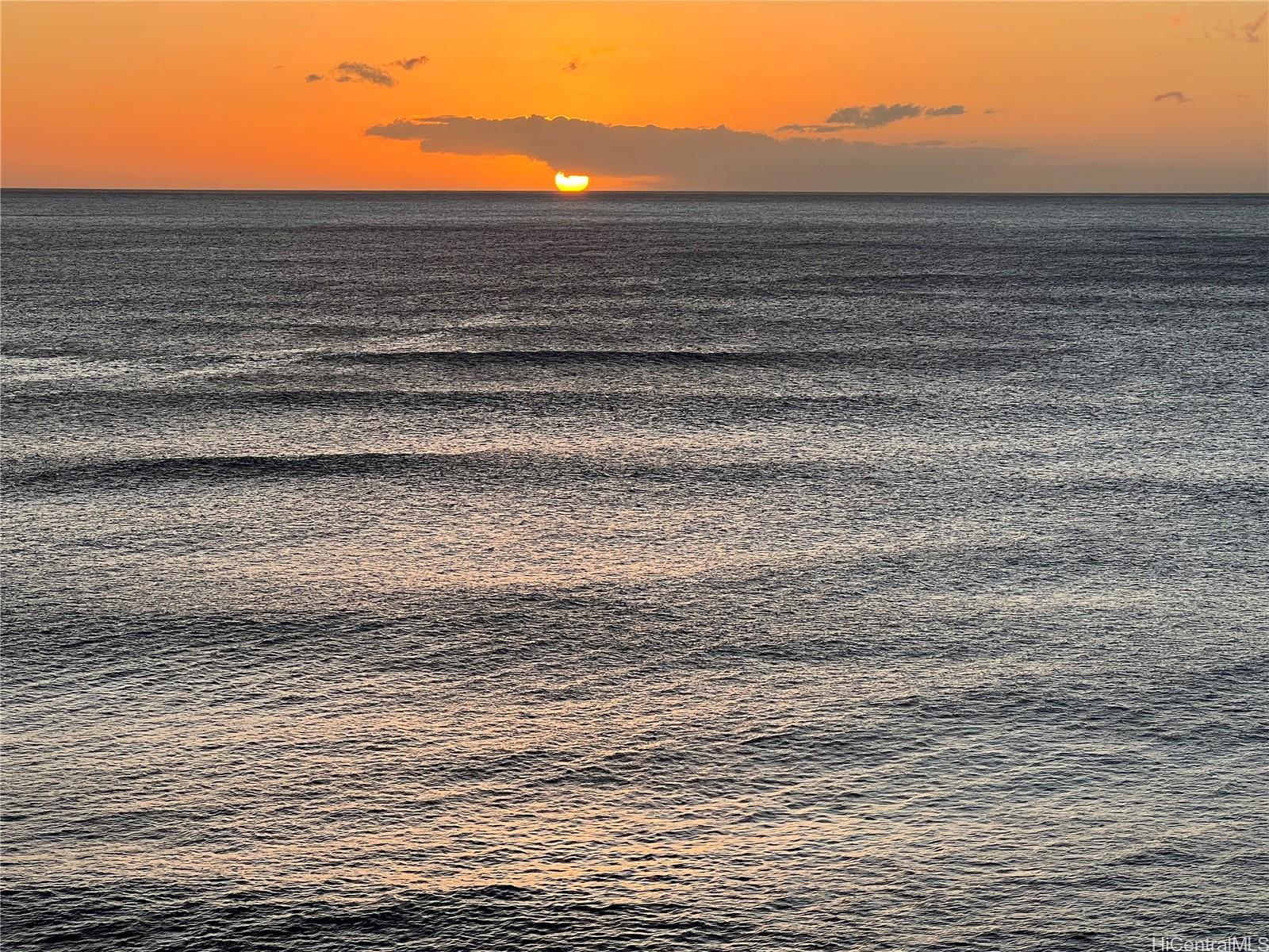 Photo 19 of 19