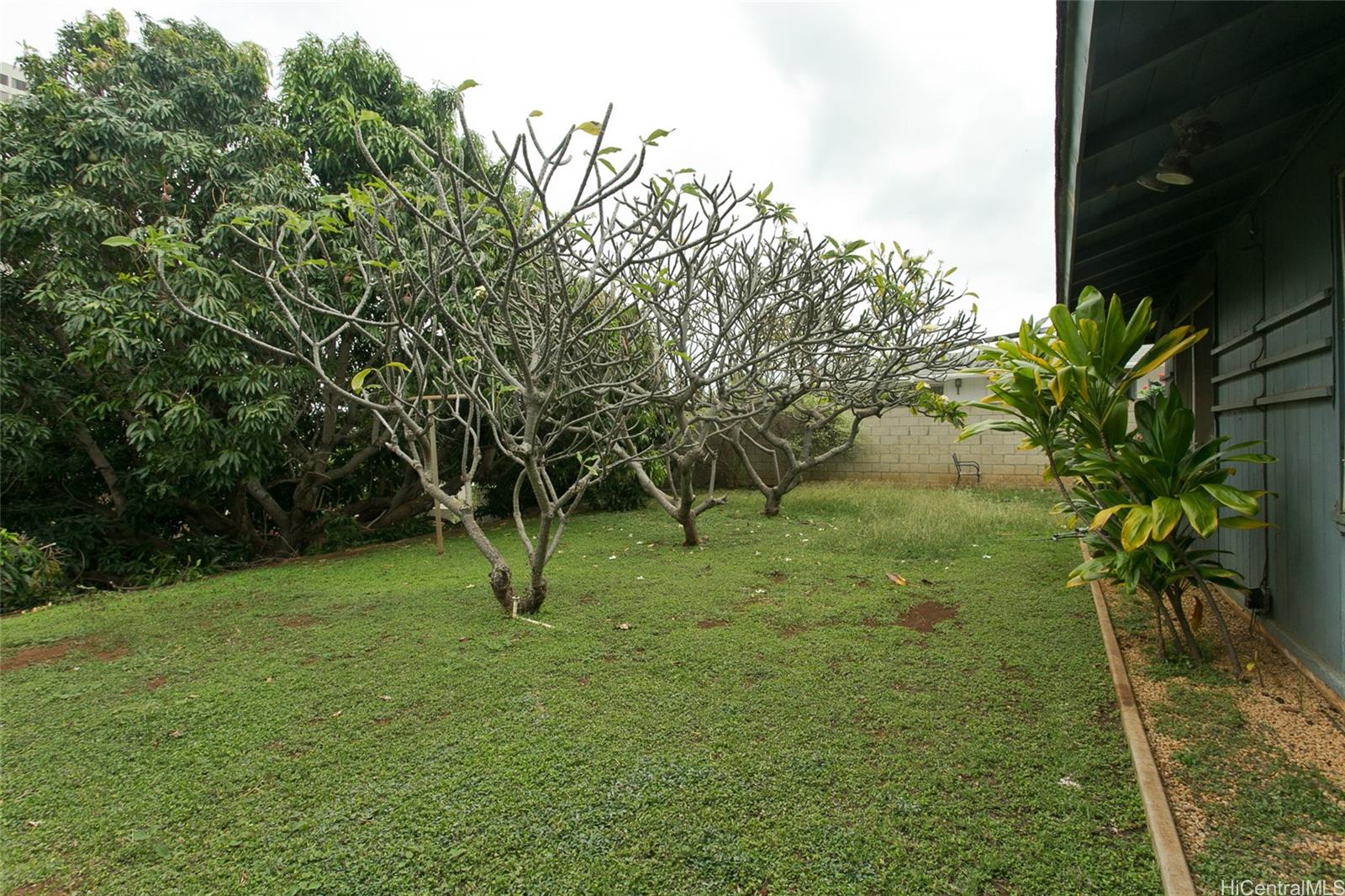 Photo 16 of 23