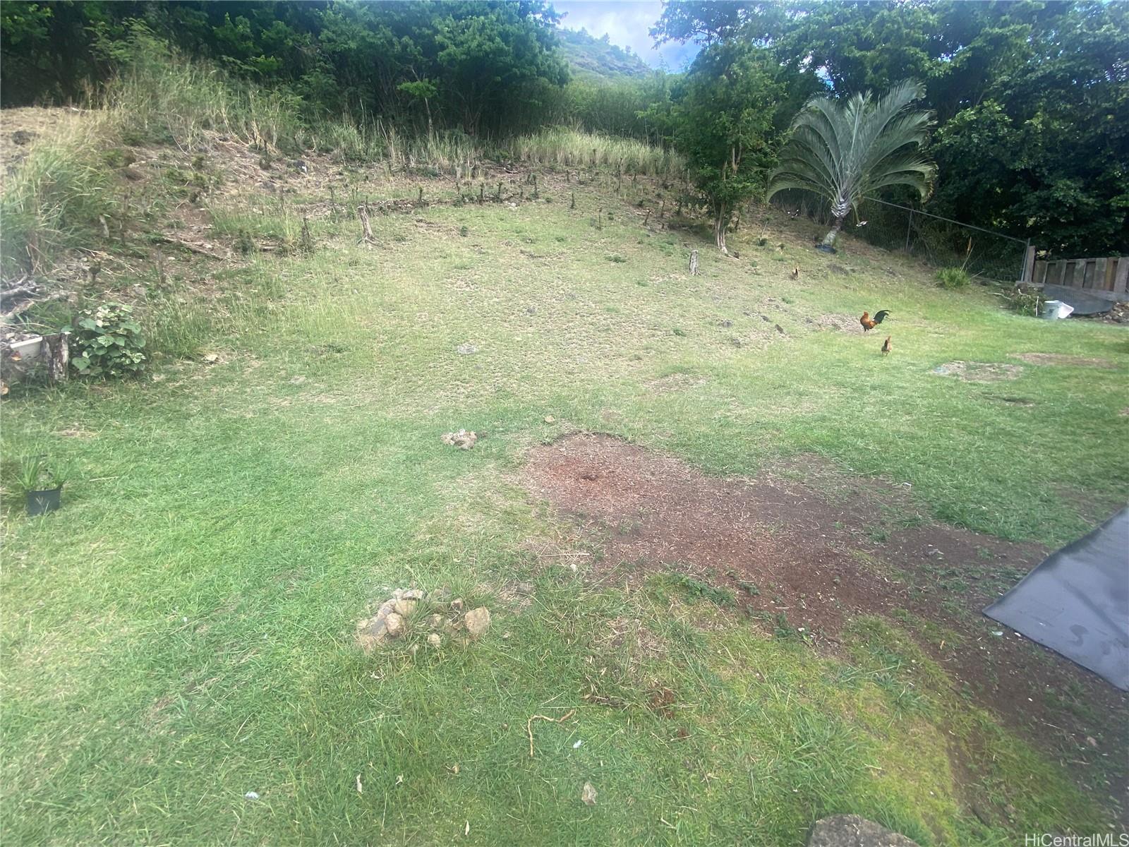 Photo 17 of 19