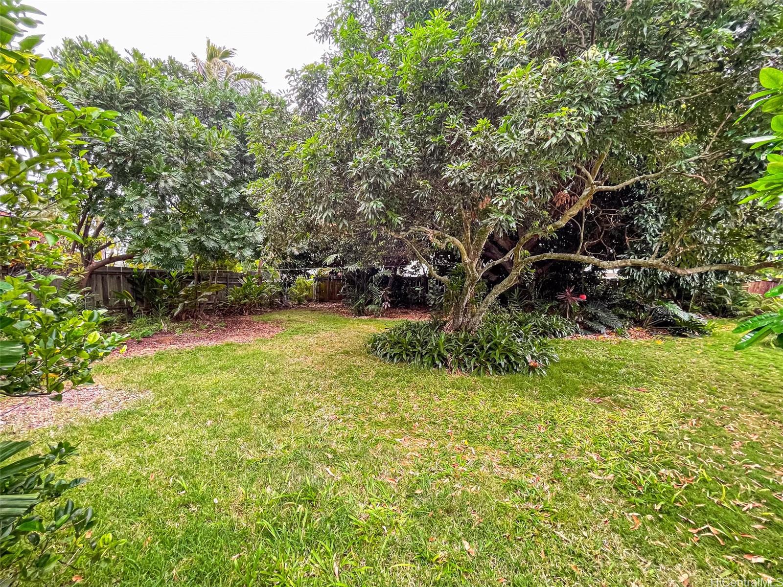 Photo 20 of 25
