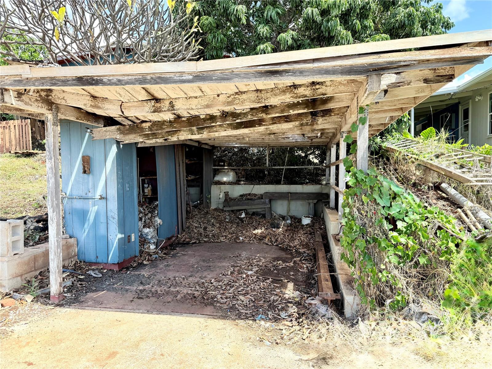 Photo 4 of 25