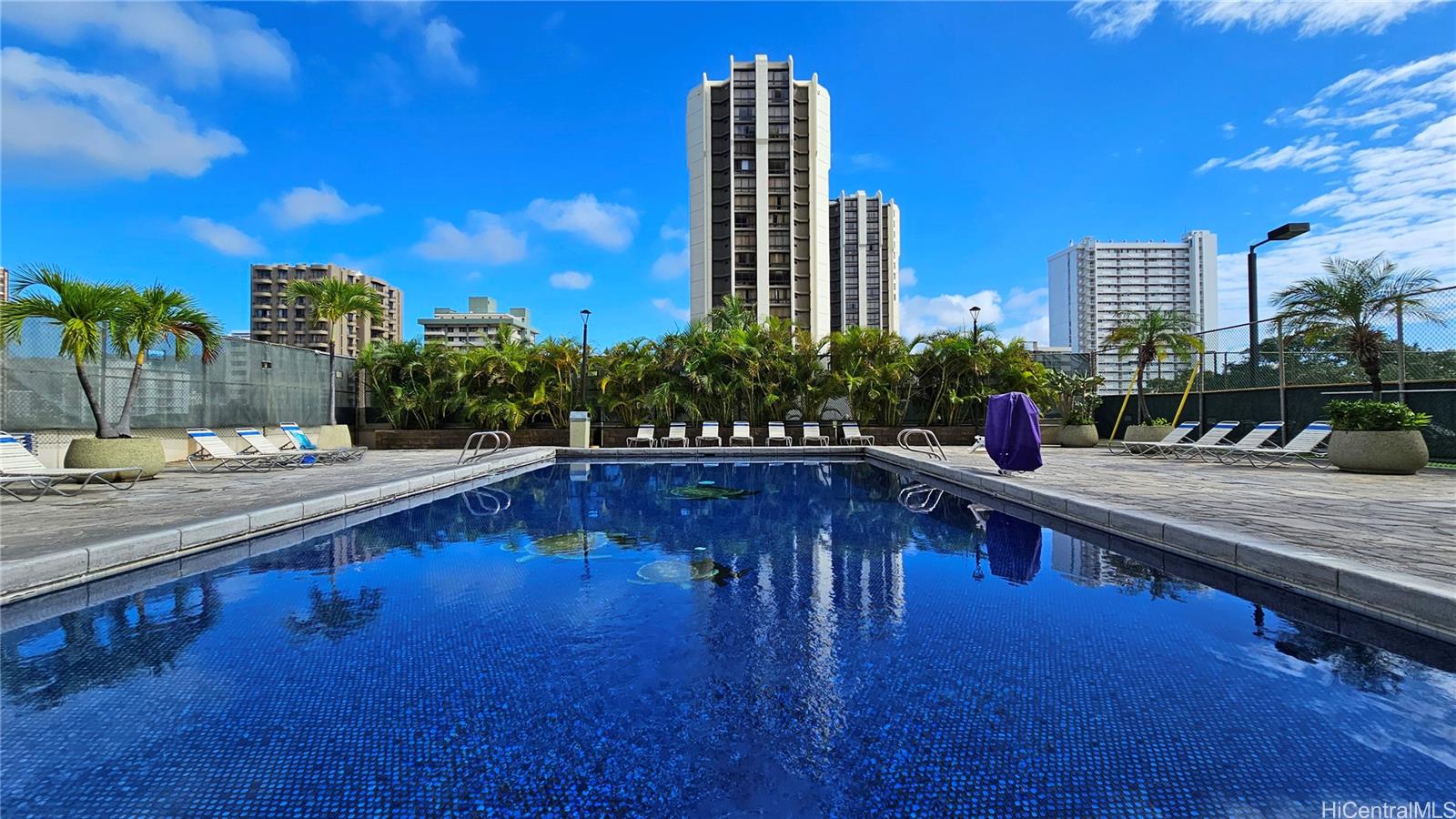 Photo 12 of 22