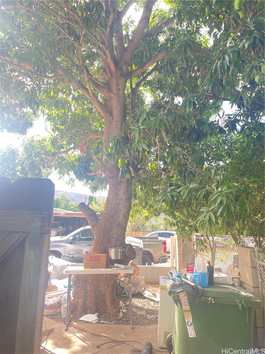 Photo 22 of 25