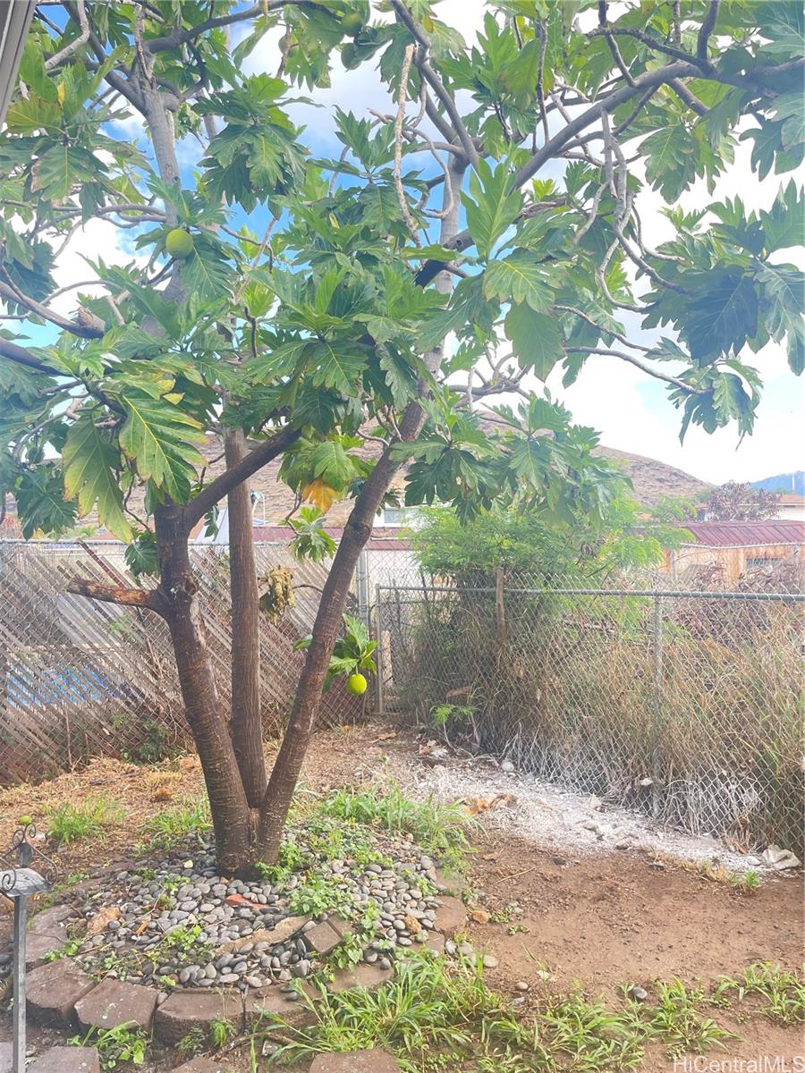Photo 5 of 25