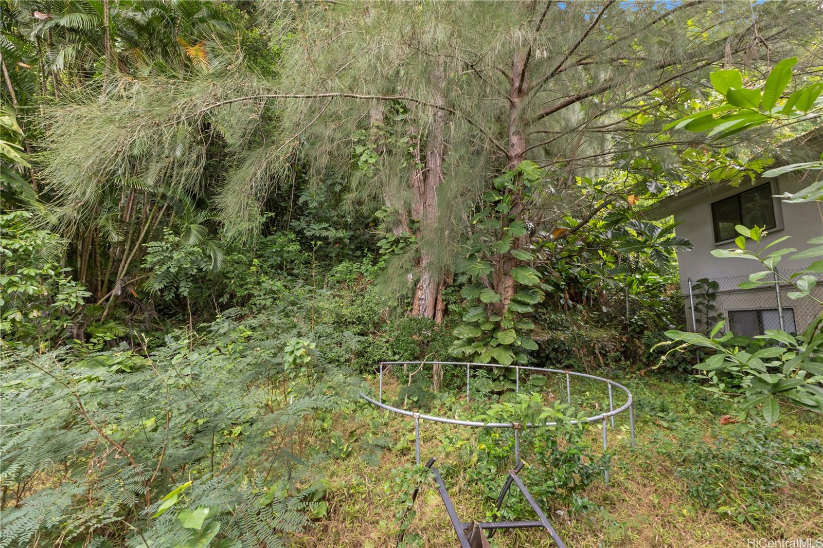 Photo 19 of 22