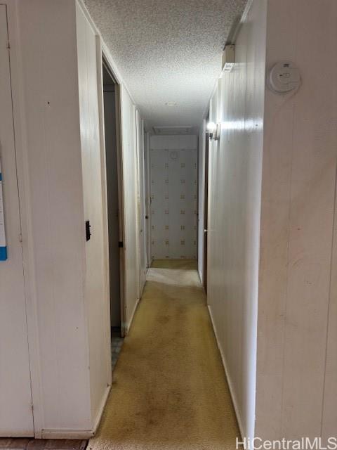 Photo 15 of 18
